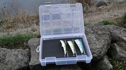 FishEng Leader Board-Medium